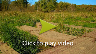 Wetland Case Study video